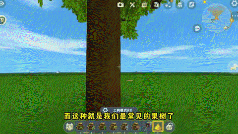 迷你世界树木怎么种[图2]