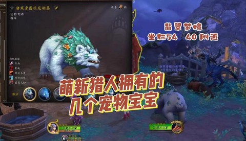 魔兽世界猎人什么宝宝好[图1]