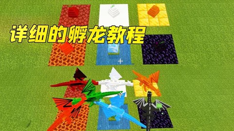 我的世界怎么取龙蛋[图1]