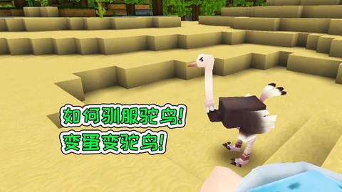 迷你世界鸵鸟怎么得[图2]