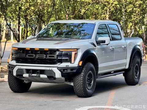 荒野大镖客猛禽是什么[图1]