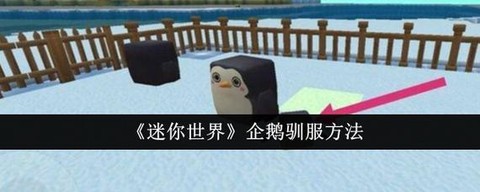 迷你世界企鹅爱吃什么[图2]