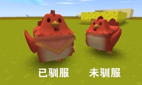 迷你世界怎么驯养鸡[图2]