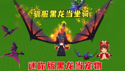 迷你世界黑龙怎么训[图2]